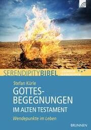 Cover von Gottesbegegnungen im Alten Testament