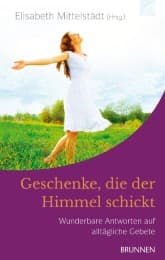 Cover von Geschenke, die der Himmel schickt