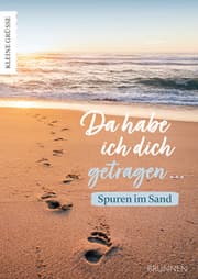 Cover von Da habe ich dich getragen ...Spuren im Sand