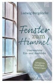 Cover von Fenster zum Himmel