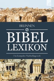 Cover von Brunnen Bibel-Lexikon
