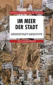 Cover von Im Meer der Stadt