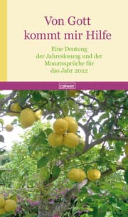 Cover von Von Gott kommt mir Hilfe