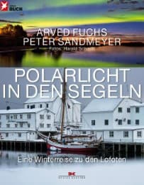 Cover von Polarlicht in den Segeln