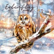 Cover von Eulenflug junior