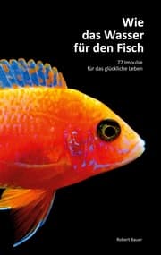 Cover von Wie das Wasser für den Fisch