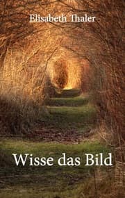 Cover von Wisse das Bild