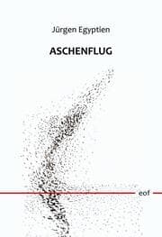 Cover von Aschenflug