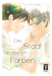 Cover von Die Stadt in deinen Farben