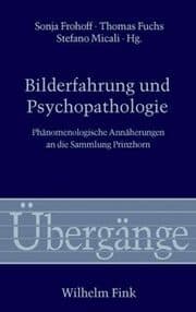 Cover von Bilderfahrung und Psychopathologie