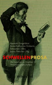 Cover von Schwellenprosa