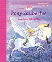 Cover von Abenteuergeschichten mit Pony Zauberfee