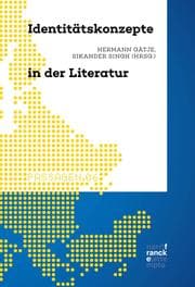 Cover von Identitätskonzepte in der Literatur