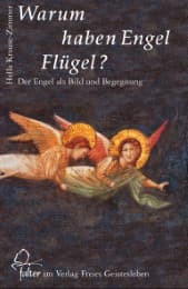 Cover von Warum haben Engel Flügel?