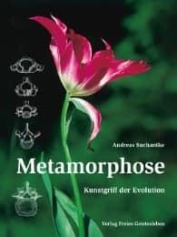 Cover von Metamorphose