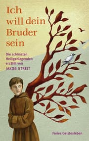 Cover von Ich will dein Bruder sein