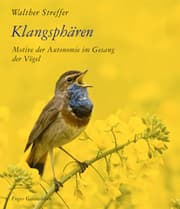 Cover von Klangsphären