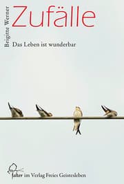 Cover von Zufälle
