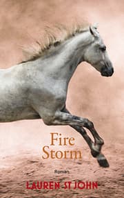 Cover von Fire Storm