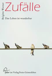 Cover von Zufälle