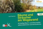 Cover von Bäume und Sträucher am Wegesrand