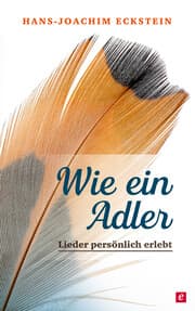 Cover von Wie ein Adler