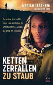 Cover von Ketten zerfallen zu Staub