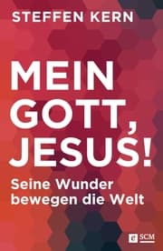 Cover von Mein Gott, Jesus!