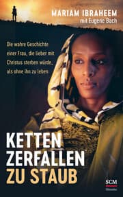 Cover von Ketten zerfallen zu Staub