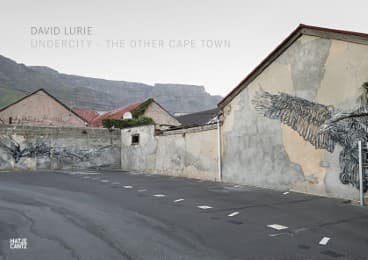 Cover von David Lurie