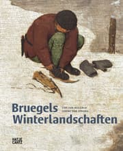 Cover von Bruegels Winterlandschaften
