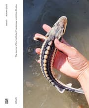 Cover von DELUS. The Journal of the Institute of Landscape and Urban Studies