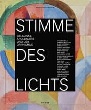 Cover von Stimme des Lichts