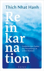 Cover von Reinkarnation