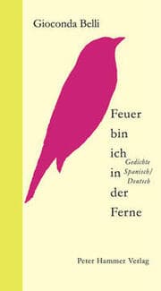 Cover von Feuer bin ich in der Ferne