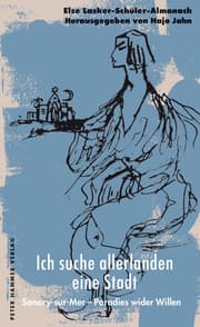 Cover von Ich suche allerlanden eine Stadt