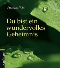Cover von Du bist ein wundervolles Geheimnis