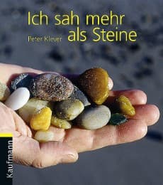 Cover von Ich sah mehr als Steine