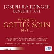 Cover von Wenn du Gottes Sohn bist...