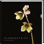 Cover von Blumenstrick