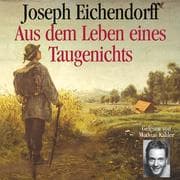 Cover von Aus dem Leben eines Taugenichts