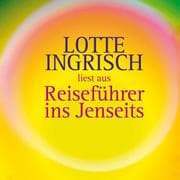 Cover von Reiseführer ins Jenseits