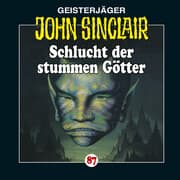 Cover von Schlucht der stummen Götter