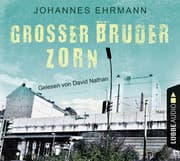 Cover von Großer Bruder Zorn