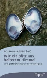 Cover von Wie ein Blitz aus heiterem Himmel