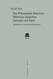 Cover von Die Philosophie Salomon Maimons zwischen Spinoza und Kant