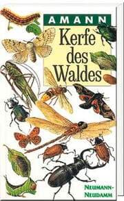 Cover von Kerfe des Waldes
