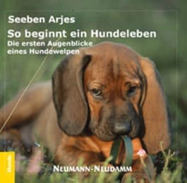 Cover von So beginnt ein Hundeleben