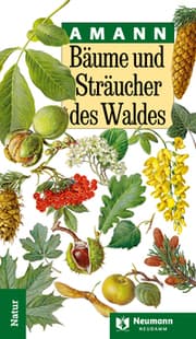 Cover von Bäume und Sträucher des Waldes