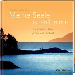 Cover von Meine Seele ist still in mir